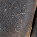 Three Rivers Petroglyphs (5859)