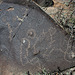 Three Rivers Petroglyphs (5863)