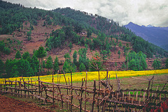 Landscape near Nga Lhakhang village