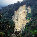 Serious landslide