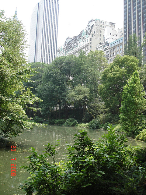 Central park's pond  /   Les étangs de New-York -  Juillet 2008
