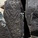 Three Rivers Petroglyphs (5865)