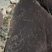 Three Rivers Petroglyphs (5873)