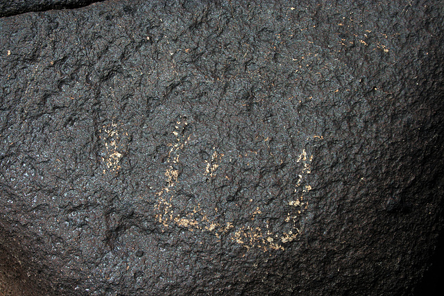 Three Rivers Petroglyphs (5874)