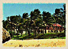 Beachfront Houses