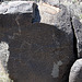 Three Rivers Petroglyphs (5878)
