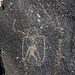 Three Rivers Petroglyphs (5882)
