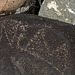 Three Rivers Petroglyphs (5884)