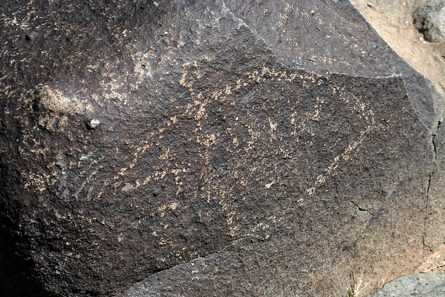Three Rivers Petroglyphs (5886)
