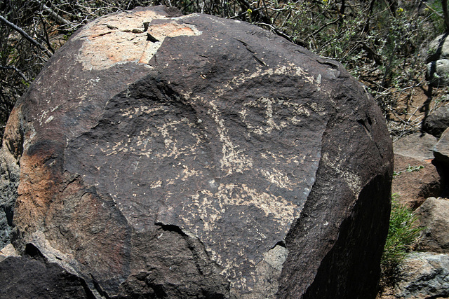 Three Rivers Petroglyphs (5887)