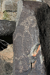 Three Rivers Petroglyphs (5890)