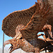 Galleta Meadows Estates Bird Sculpture (3608)