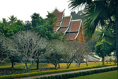 Haw Pha Bang and the garden of the National Museum