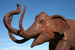 Galleta Meadows Estates Mastodon Sculpture (3622)