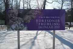 Dresdner Frühling im Palais 2010