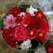 Bouquet von Kamelienblüten
