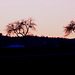 20100304 1502Aw [D~LIP] Sonnenuntergang, Kalletal-Holzhausen