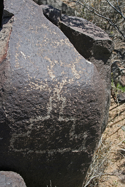 Three Rivers Petroglyphs (5851)
