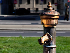 golden hydrant