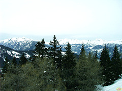 2005-03-03 73 monto Aineck, karintio, 2220 m
