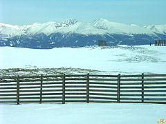 2005-03-03 40 monto Aineck, karintio, 2220 m