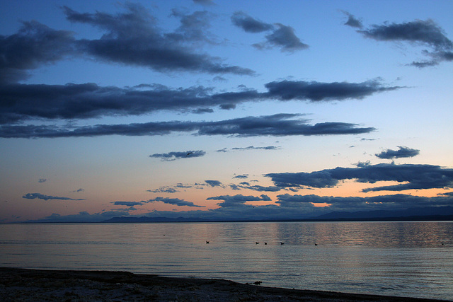 Salton Sea Sunset (4024)