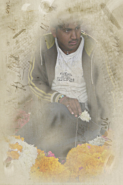 fleurs fleurs