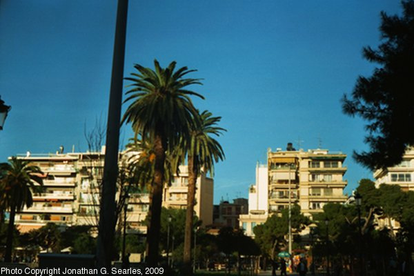 Palms, Picture 4, Patras, Peloponnese, Greece, 2009