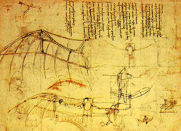 desegnis Leonardo da Vinci (La birdohomo)