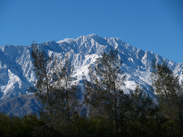 Mt San Jacinto viewed from Mission Springs Park (1956)