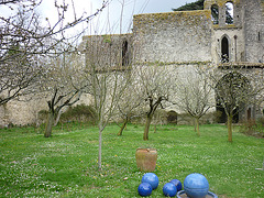 jardin de l'abbaye