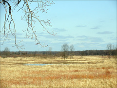 Maple River State Game Area