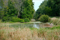 Maple River State Game Area