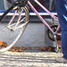 Direkten blond biker in red with jeans and white sneakers /  Suédoise blonde à vélo en jeans et espadrilles blanches -  Ängelholm / Sweden - Suède - 23-10-2008- Ängelholm / Sweden - Suède - 23-10-2008