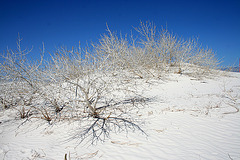 White Sands National Monument Nature Trail (6212)