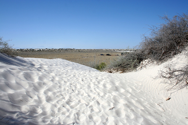 White Sands National Monument Nature Trail (6223)