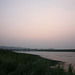 Evening in Kaziranga