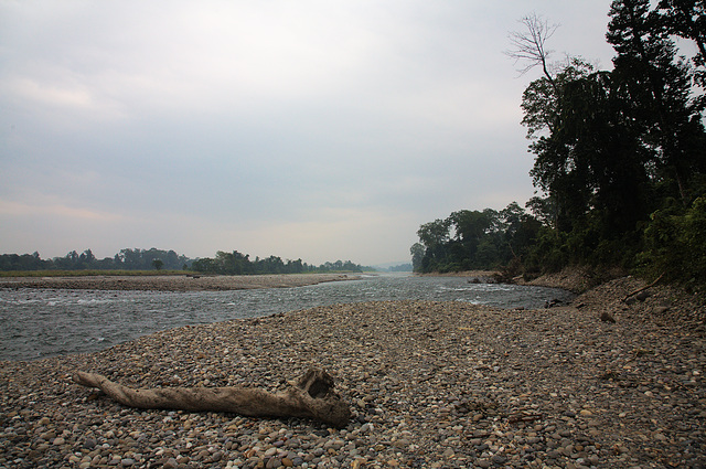 Nameri river view