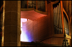 the organ