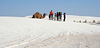 White Sands National Monument Camel (6226)