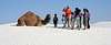 White Sands National Monument Camel (6227)