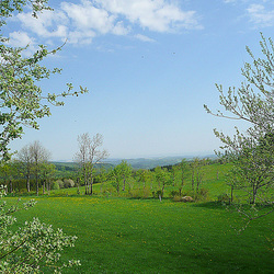 Frühling am Geisingberg - 824m