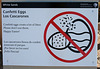 No Confetti Eggs (6185)