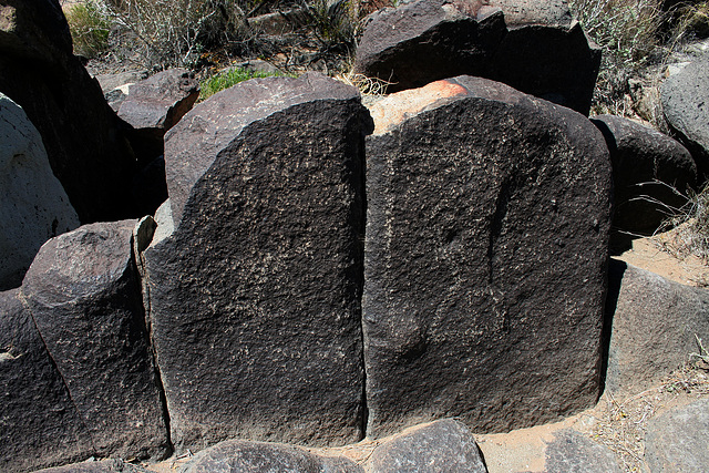 Three Rivers Petroglyphs (5892)