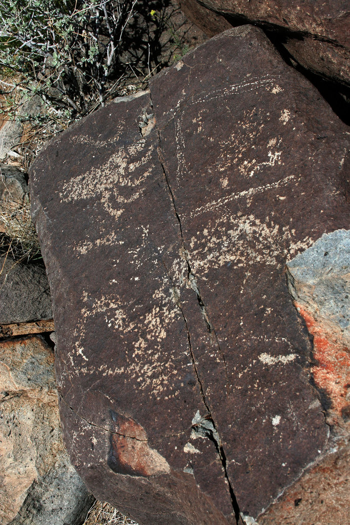 Three Rivers Petroglyphs (5894)