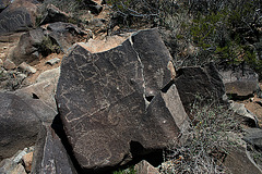 Three Rivers Petroglyphs (5897)