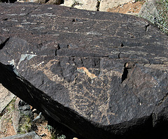 Three Rivers Petroglyphs (5898)