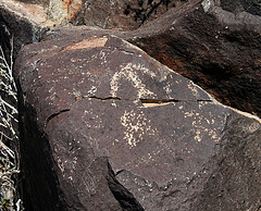 Three Rivers Petroglyphs (5899)