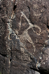 Three Rivers Petroglyphs (5901)