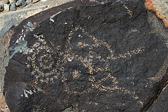 Three Rivers Petroglyphs (5903)